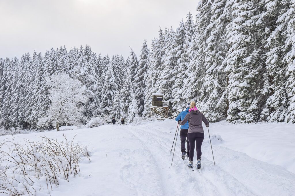 Two people cross-country skiing in a winter landscape