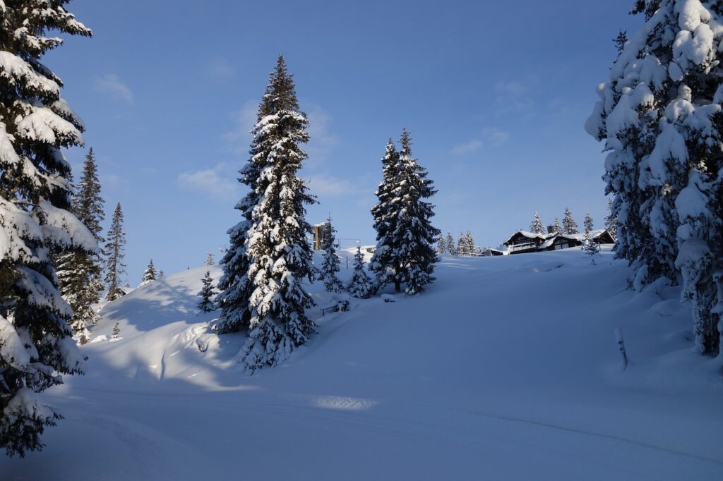 Norskt vinterlandskap med snö, granar och en stuga i bakgrunden