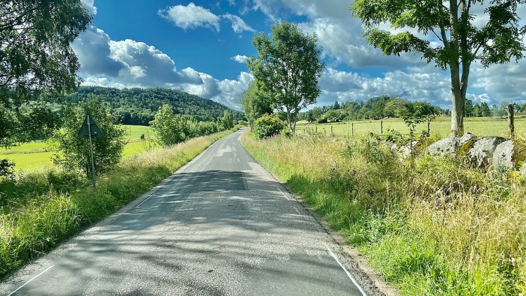Bilväg på landet, omgiven av grönska