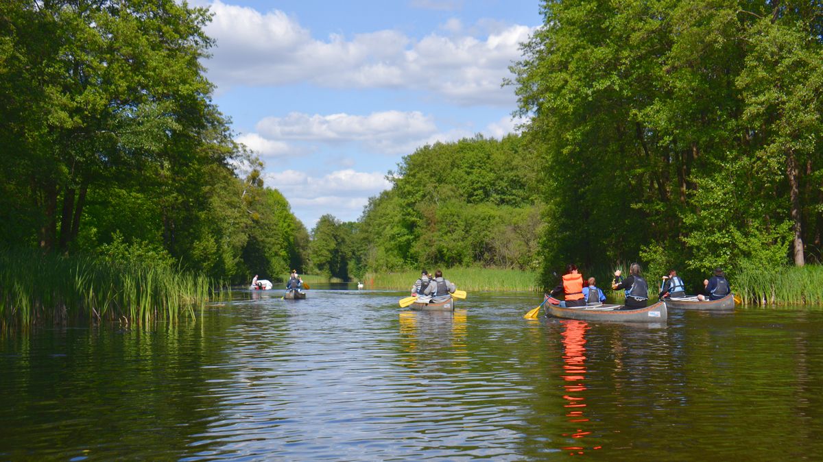  Flere kanoer på en innsjø, omgitt av grønne trær