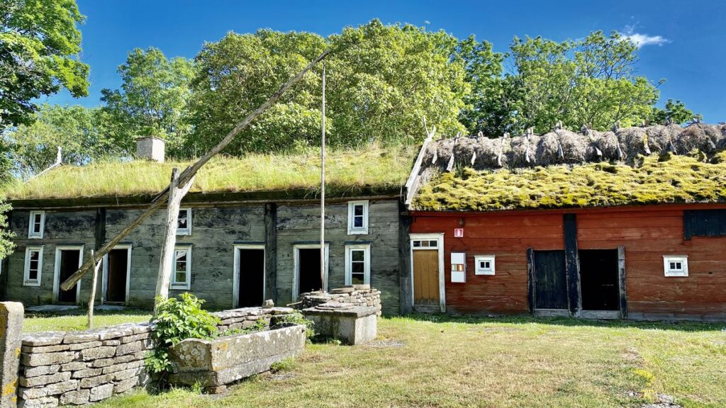 Ålderdomliga byggnader med gräs på taket